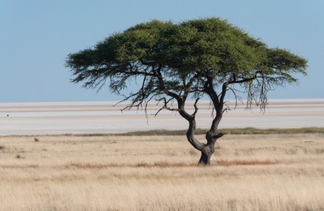 Panorami della Namibia