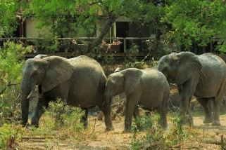 Tour Sudafrica Mauritius: dal Sudafrica all'Isola di Mauritius - Foto 2