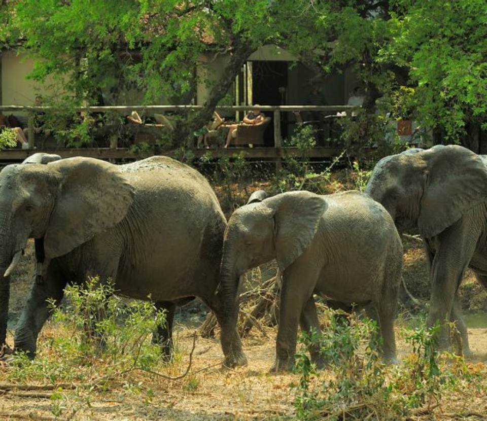 Tour Sudafrica e Mauritius - foto 3