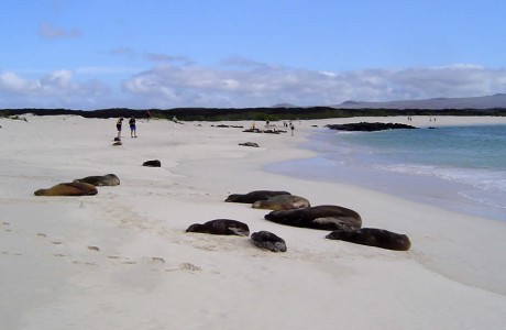 Viaggio di nozze lussuoso in Ecuador e Galapagos: si parte!