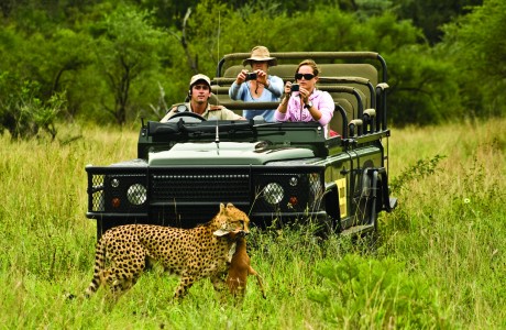 Safari di lusso in Africa: un'avventura esclusiva per viaggi di nozze