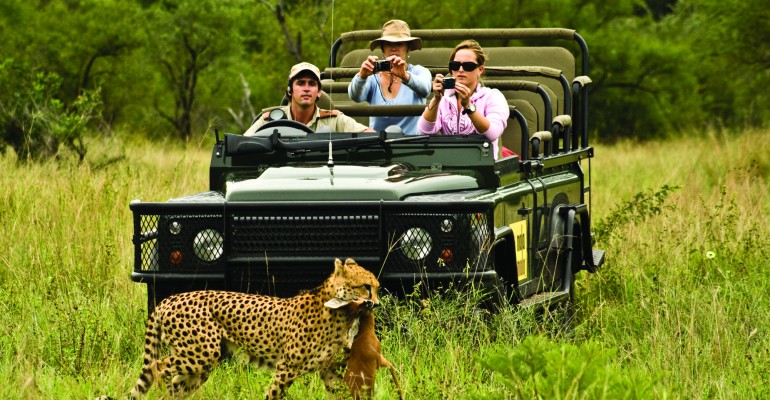 Safari di lusso in Africa: un'avventura esclusiva per viaggi di nozze