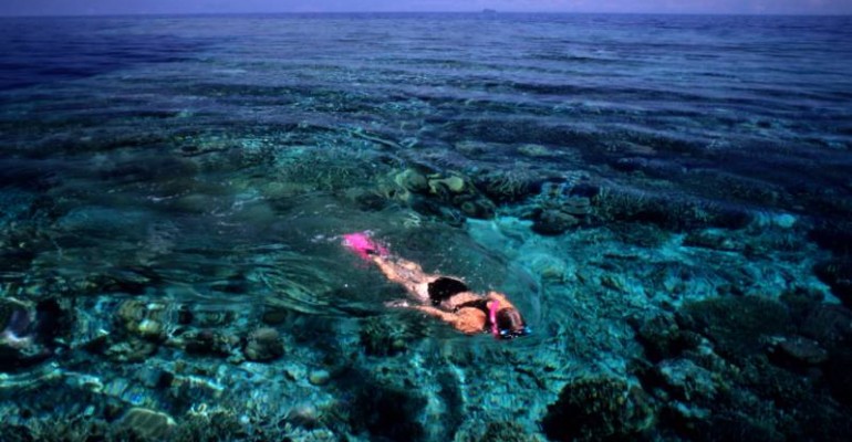 Escursioni subacquee nelle Isole Fiji: idee per un viaggio di nozze