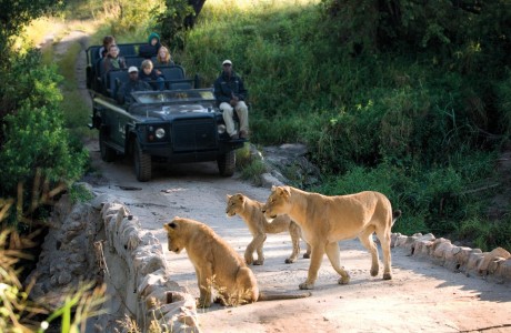 La valigia per un safari: i nostri consigli