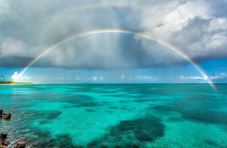 Giappone e Isole di Okinawa: Organizzare un Viaggio da Sogno