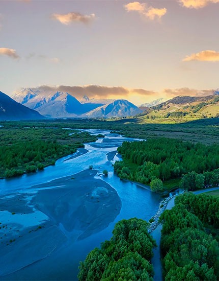 Natural Experience / Nuova Zelanda