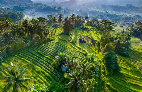 Viaggiare in Indonesia: vaccinazioni obbligatorie e consigliate