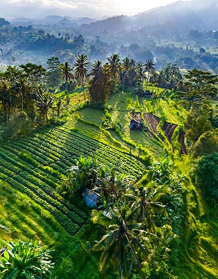 Viaggiare in Indonesia: vaccinazioni obbligatorie e consigliate